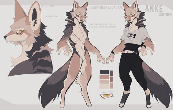 Type 1 with reused fullbody.